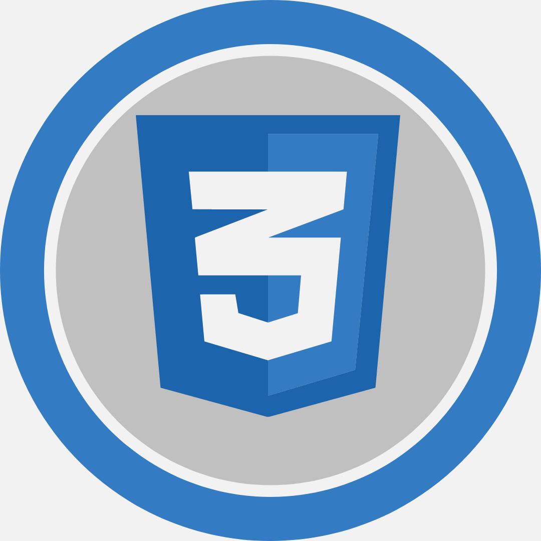 CSS Logo